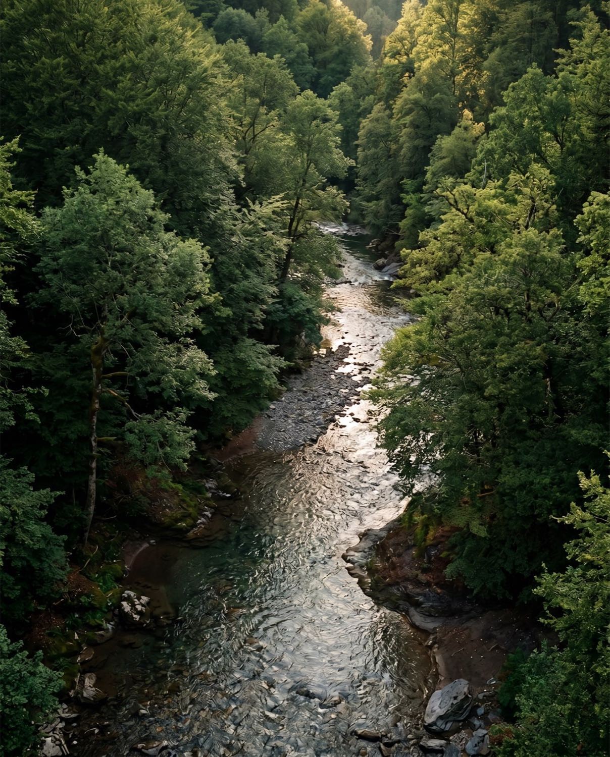 Naturaleza y territorio
